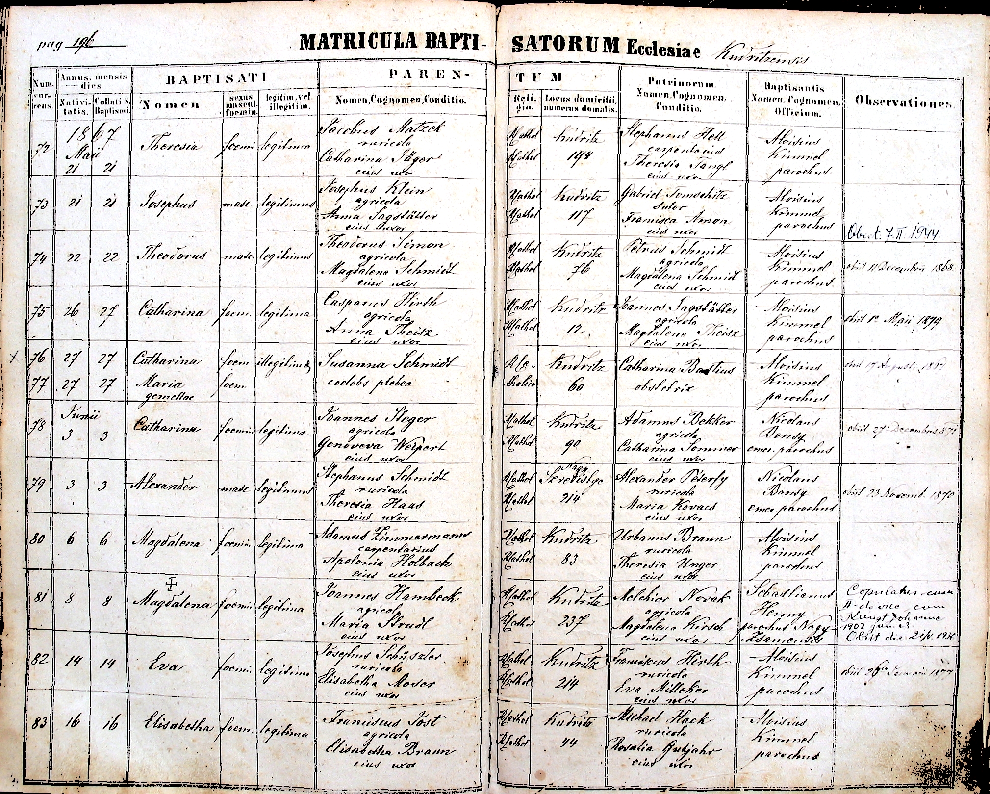 images/church_records/BIRTHS/1852-1870B/196