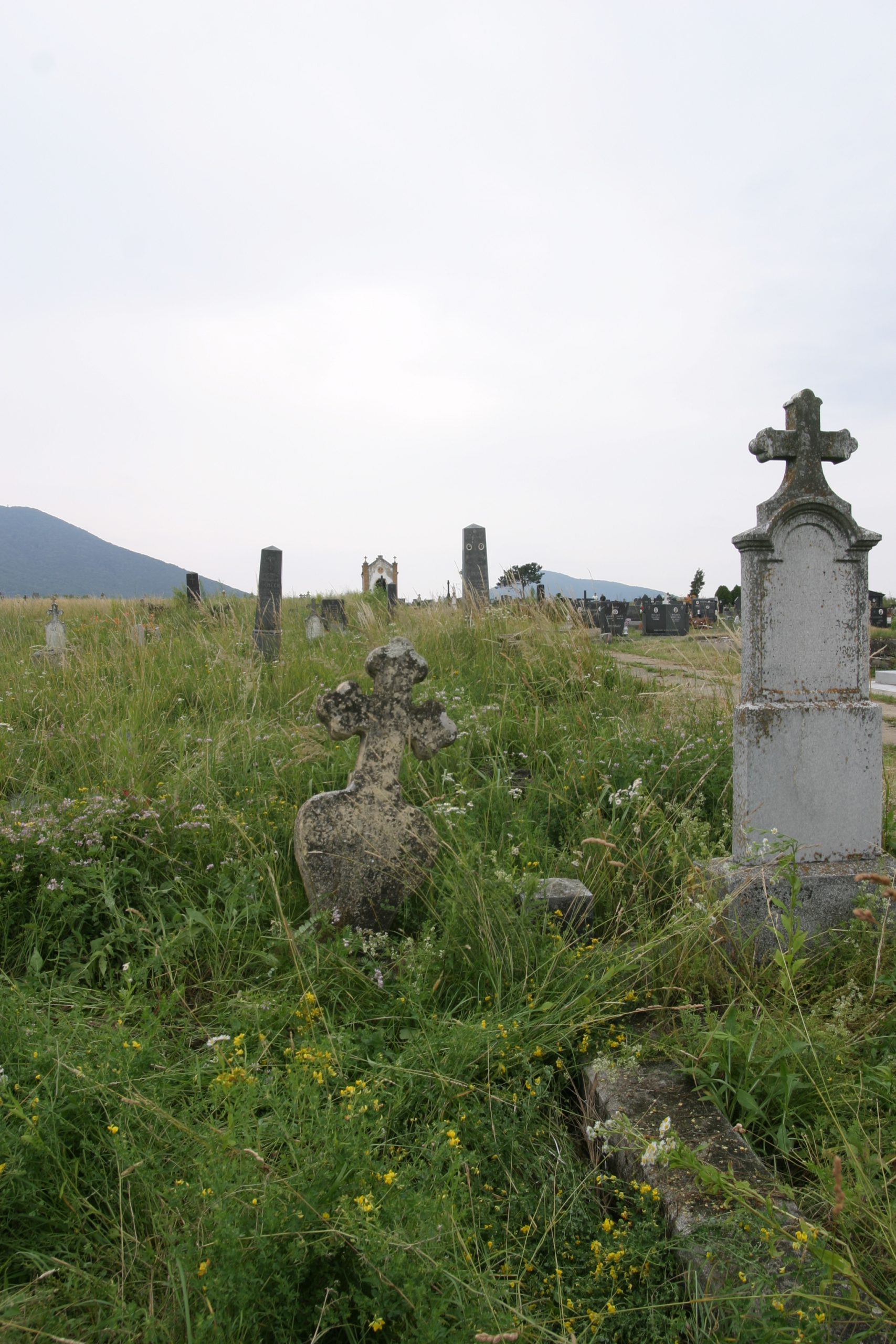 images/Kudritz Cemetery/IMG_0280