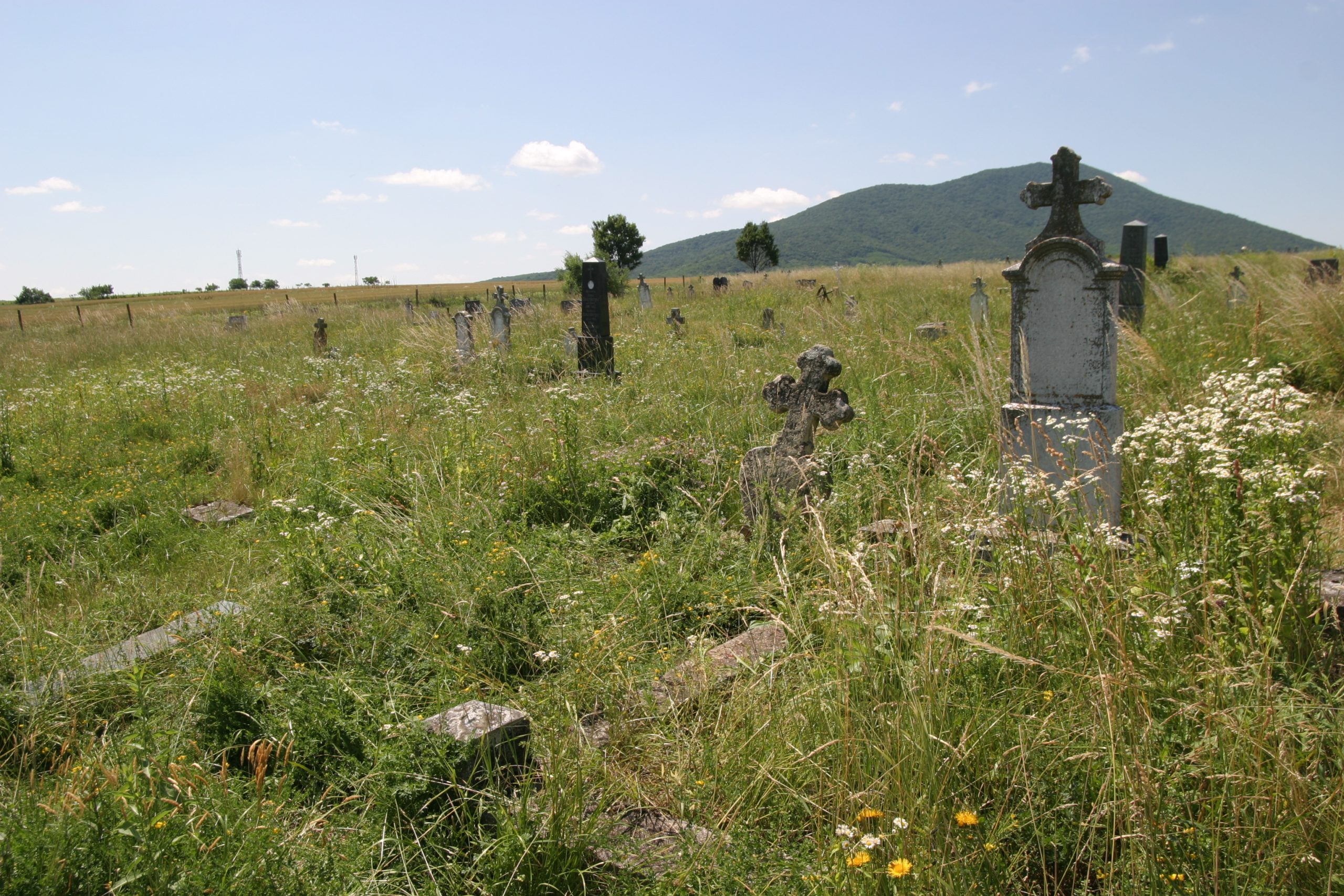 images/Kudritz Cemetery/IMG_0341