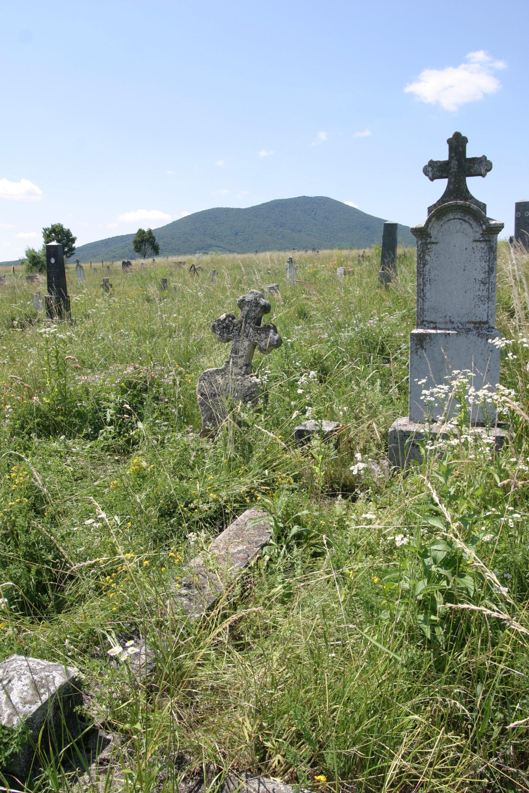 images/Kudritz Cemetery/IMG_0342