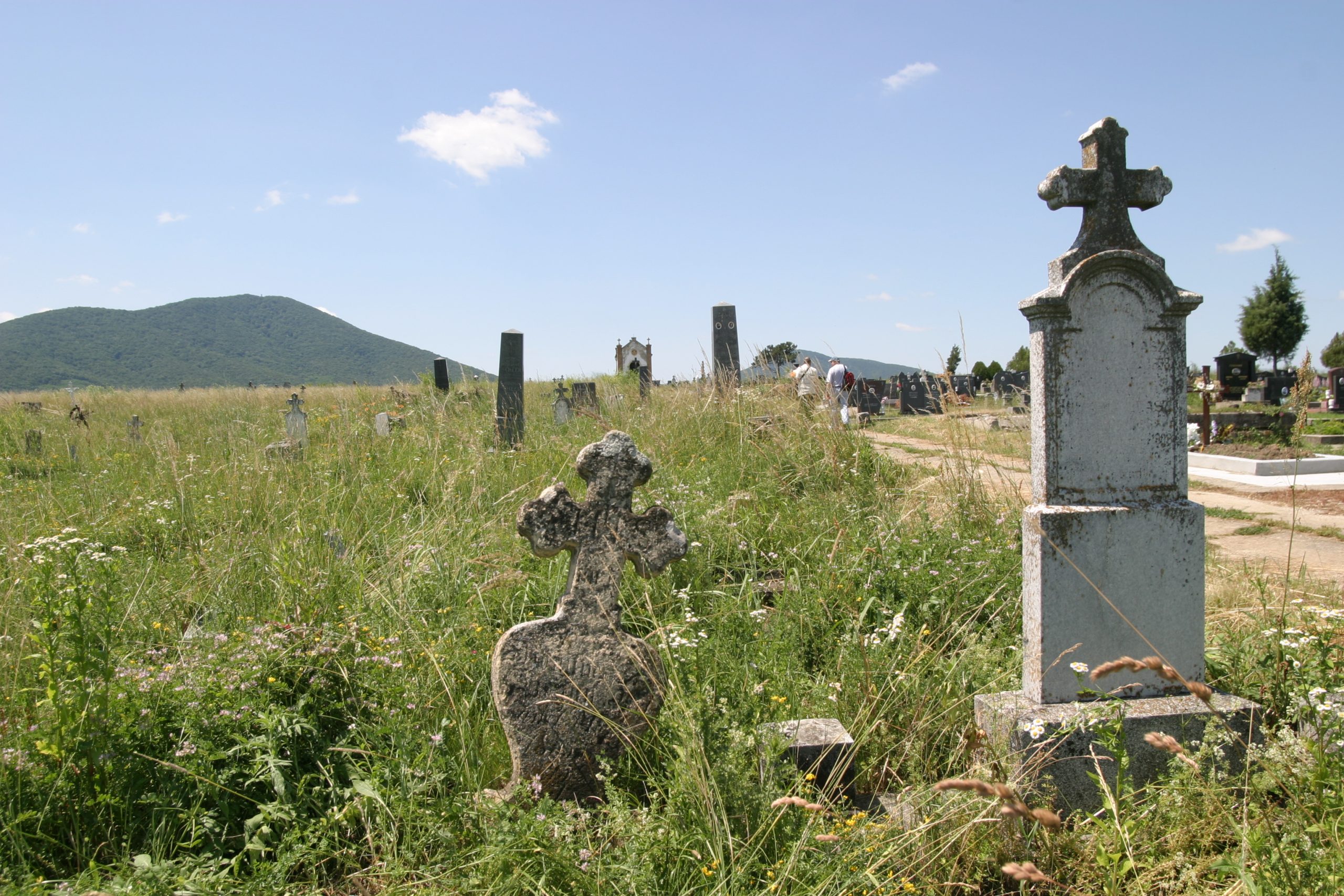 images/Kudritz Cemetery/IMG_0343