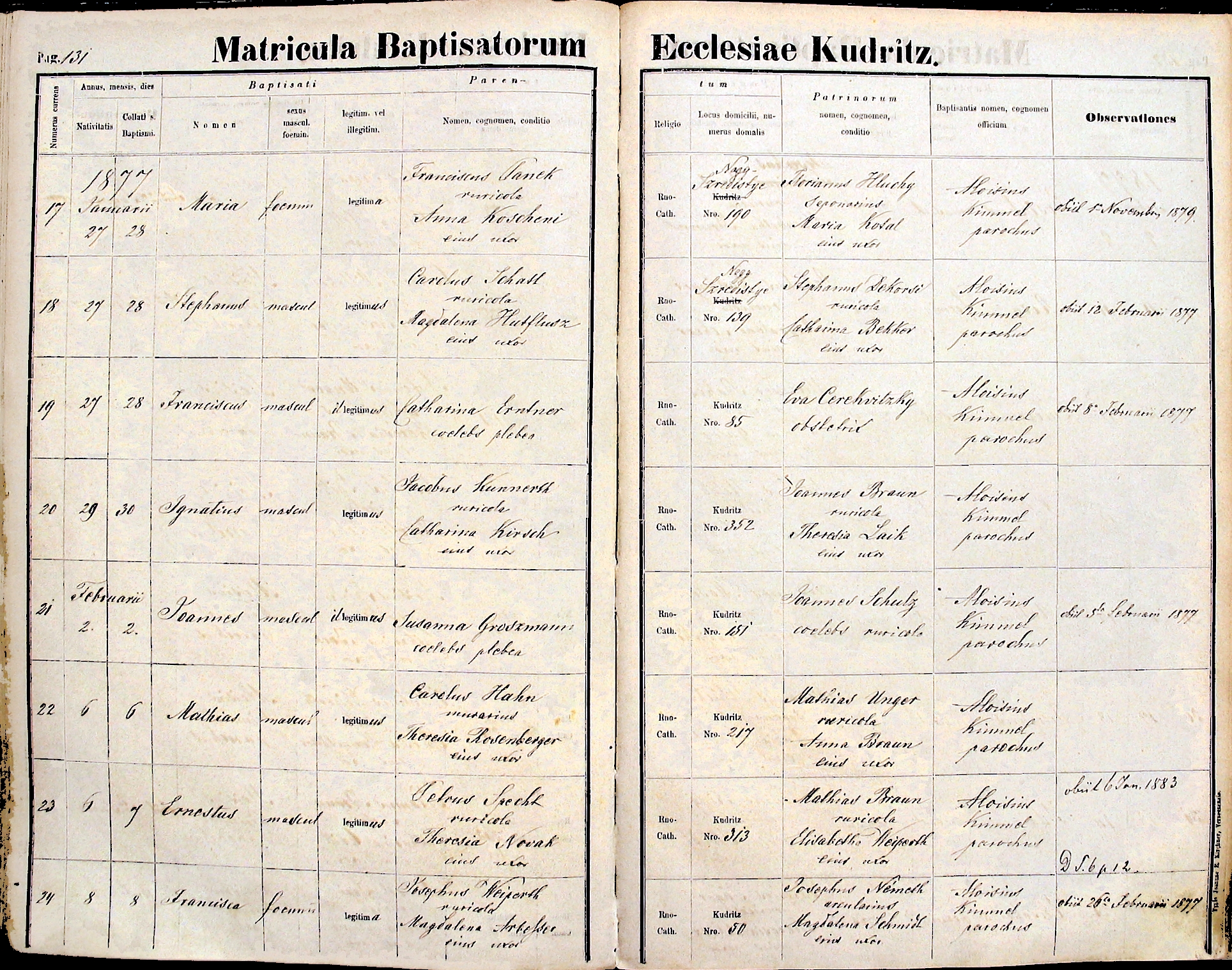 images/church_records/BIRTHS/1870-1879B/1876/131