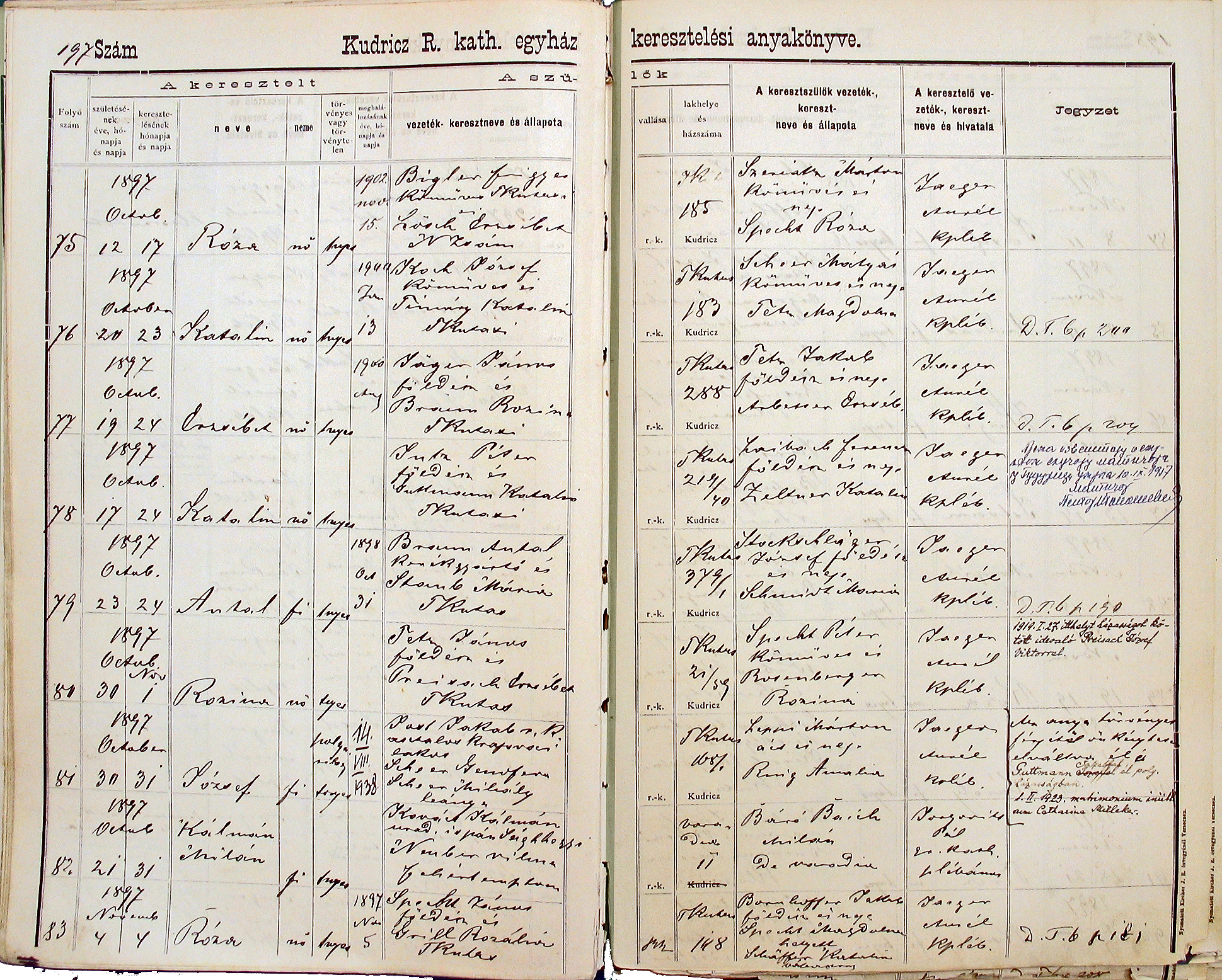 images/church_records/BIRTHS/1884-1899B/1897/197