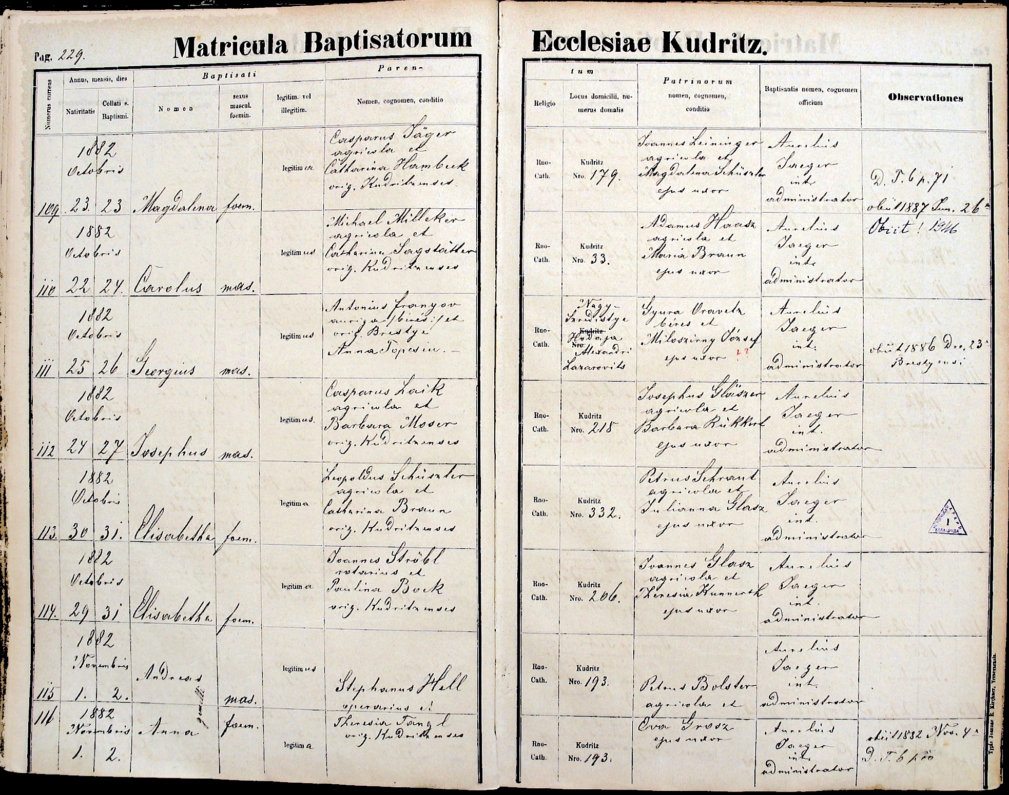 images/church_records/BIRTHS/1880-1883B/1882/229