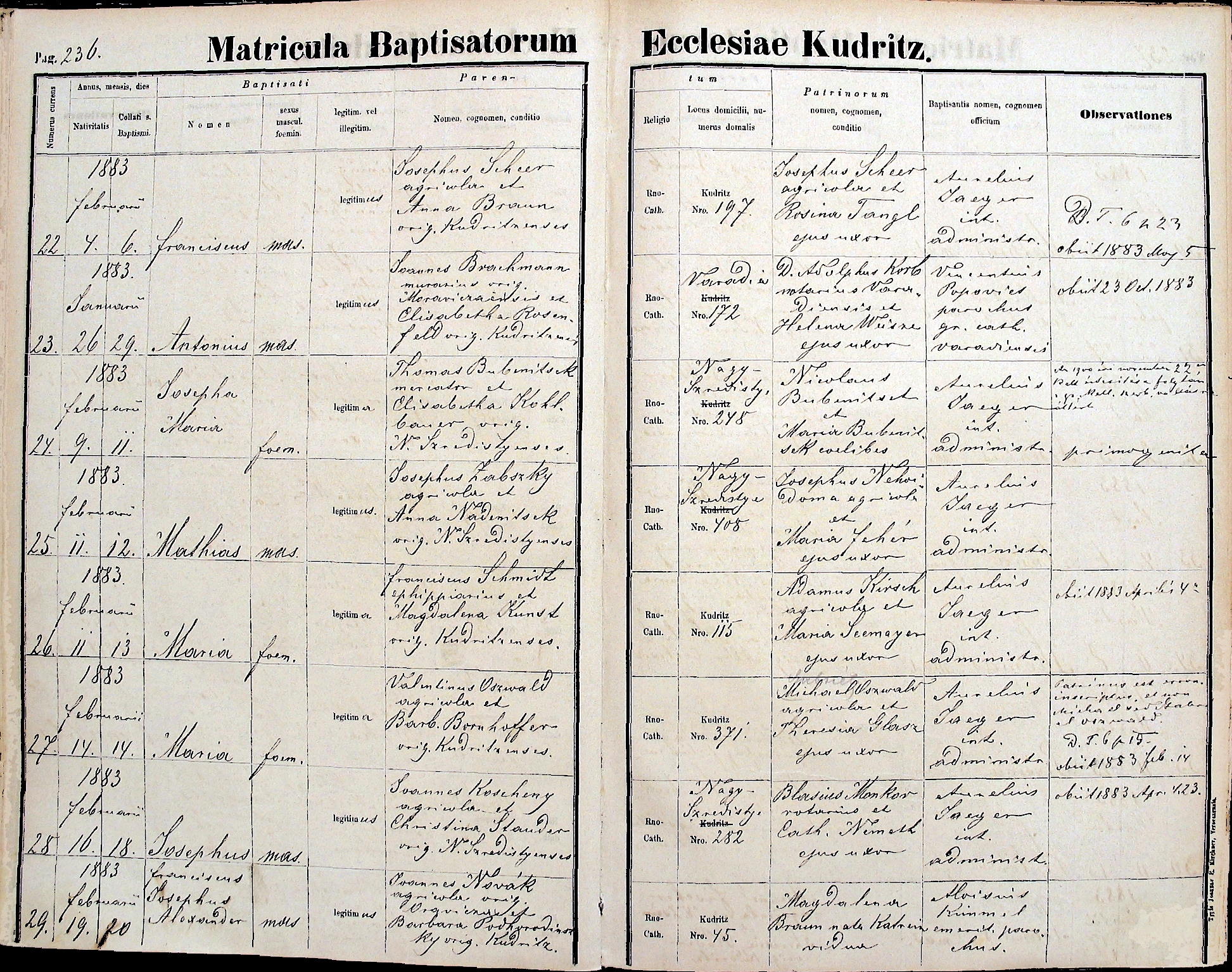 images/church_records/BIRTHS/1880-1883B/1883/236