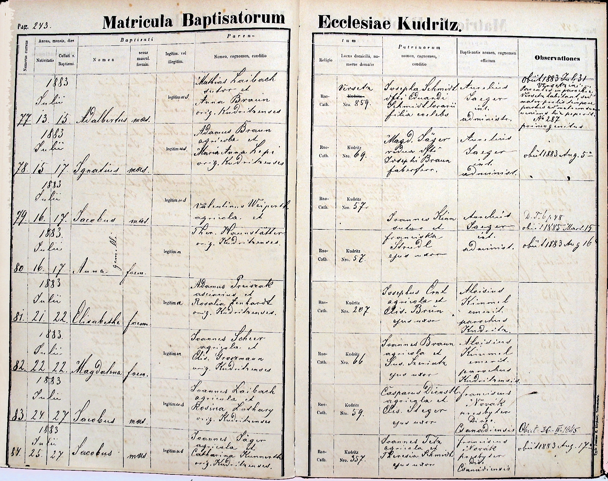 images/church_records/BIRTHS/1880-1883B/1883/243