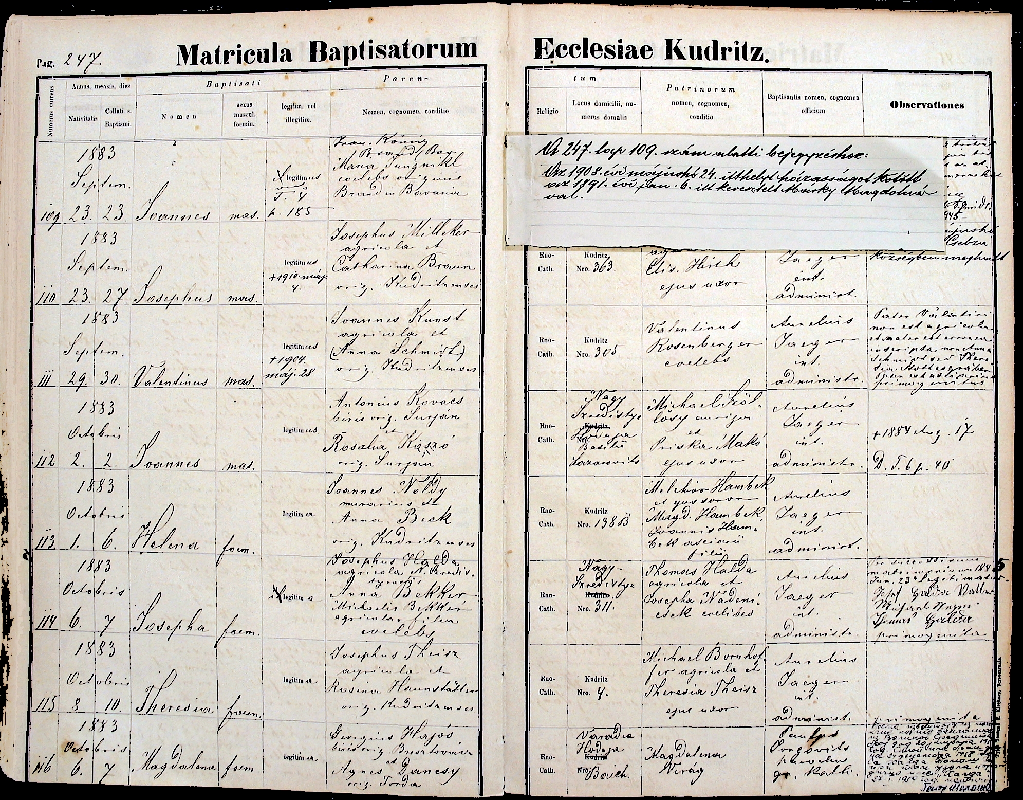 images/church_records/BIRTHS/1880-1883B/1883/247