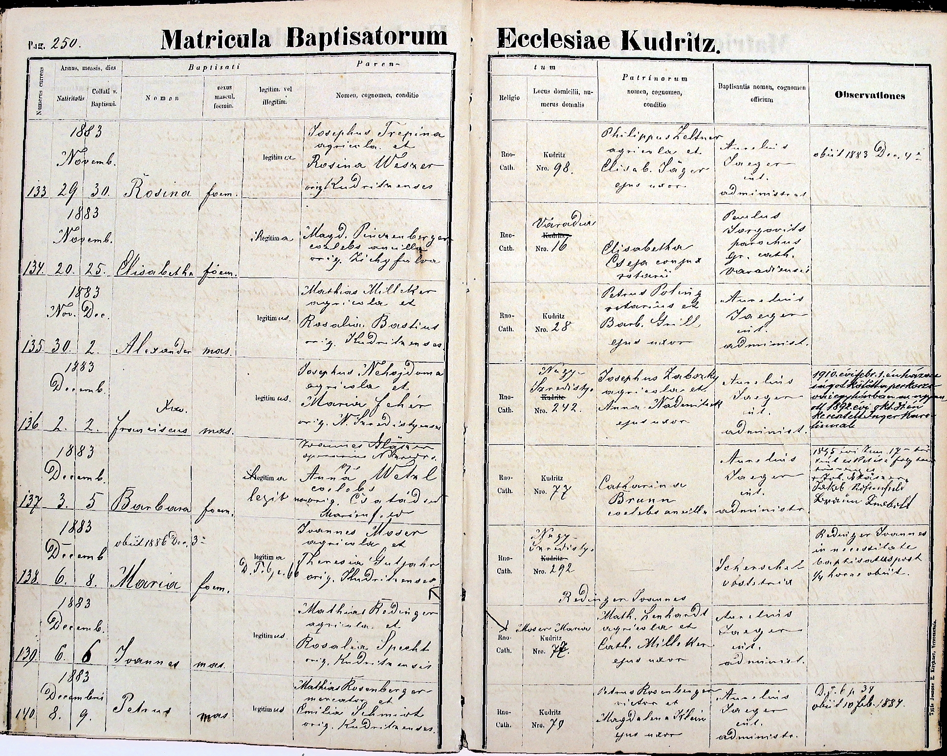 images/church_records/BIRTHS/1880-1883B/1883/250