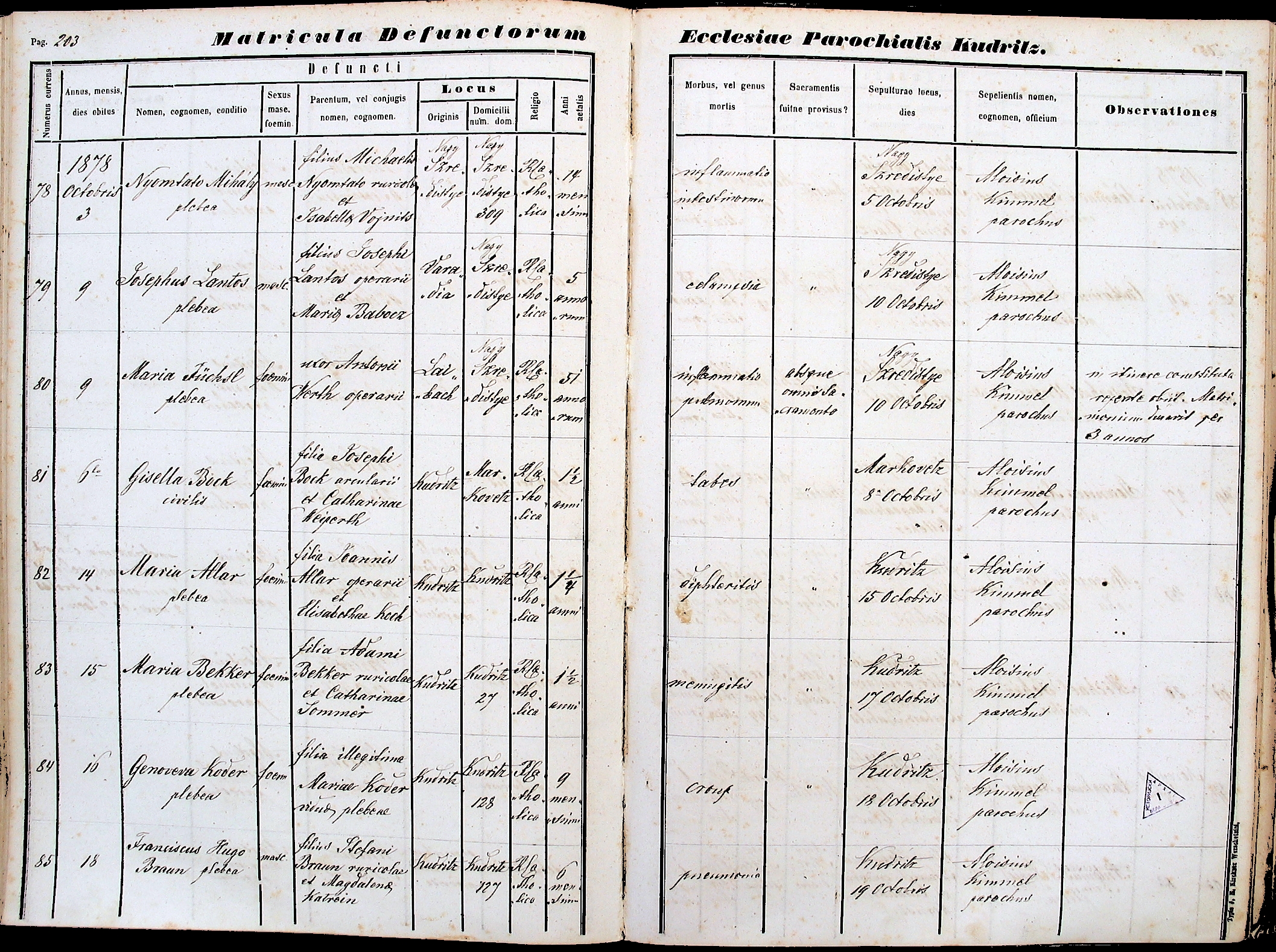 images/church_records/DEATHS/1866-1879D/1878/203