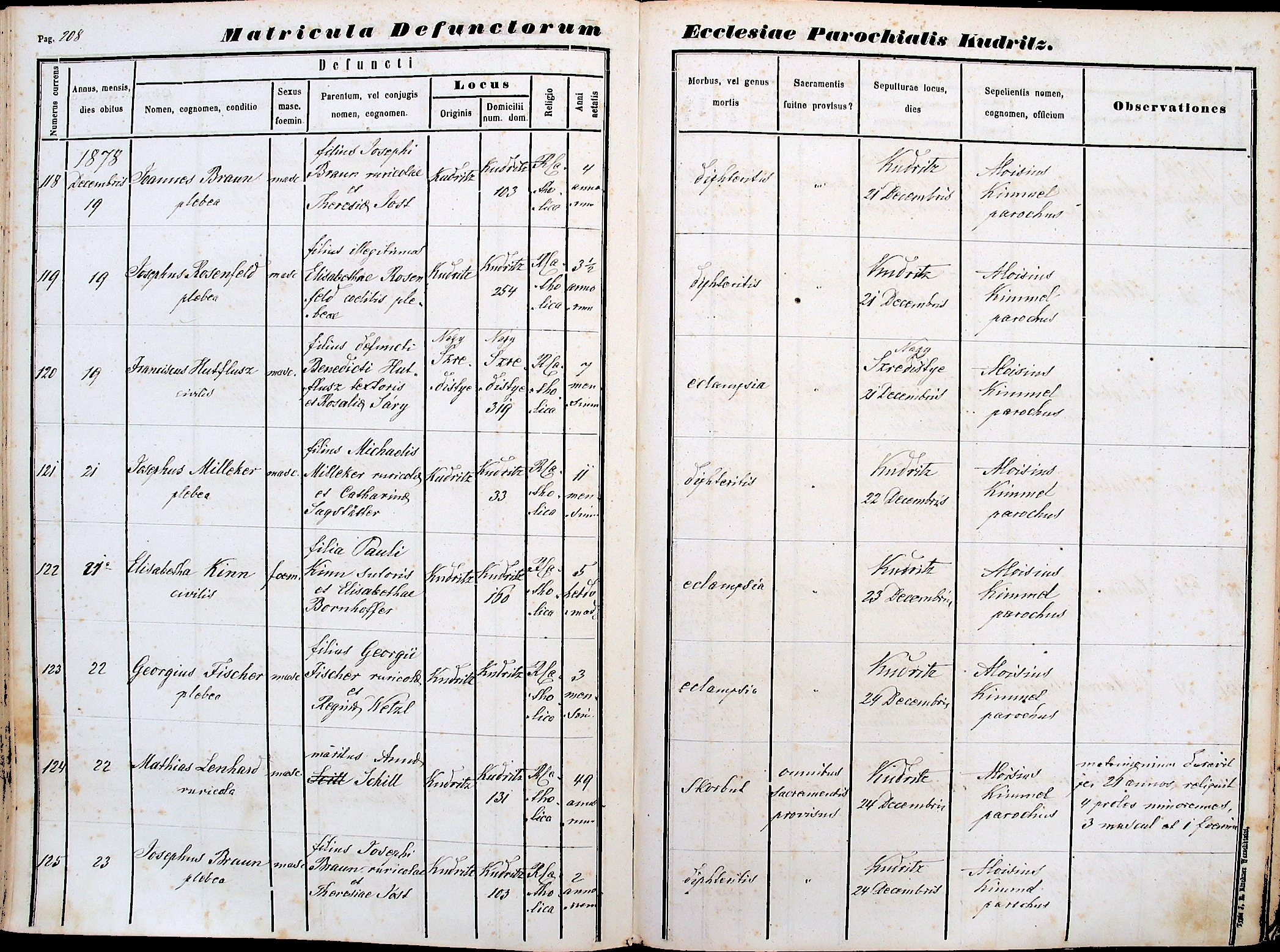 images/church_records/DEATHS/1866-1879D/1878/208