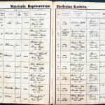 images/church_records/BIRTHS/1870-1879B/1874/087